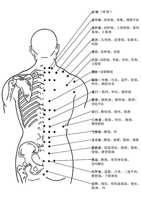 背後穴位圖|最全經絡高清動圖，所有穴位都有！再也不怕找不到穴。